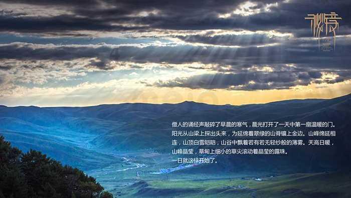 为避险伤狗,用担责吗?律师解答