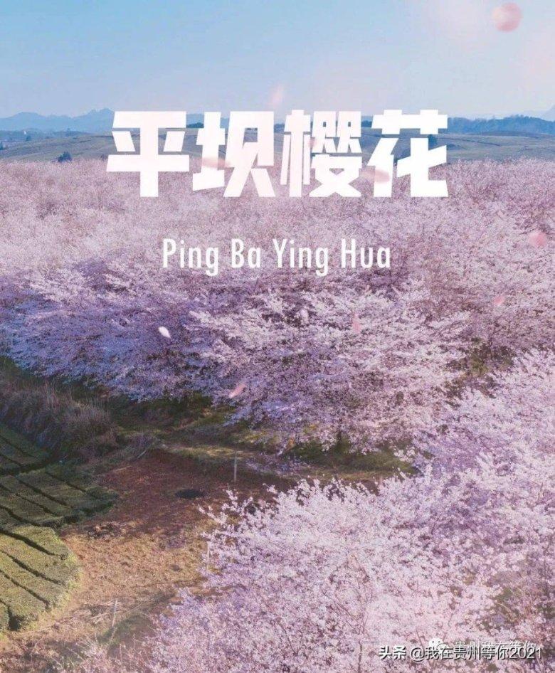 为何许多人家里都放弃用地暖,改用暖气片,这4个缺陷无法忍受