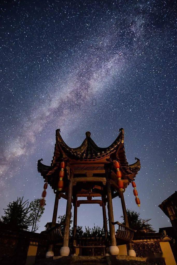 黄球大冒险