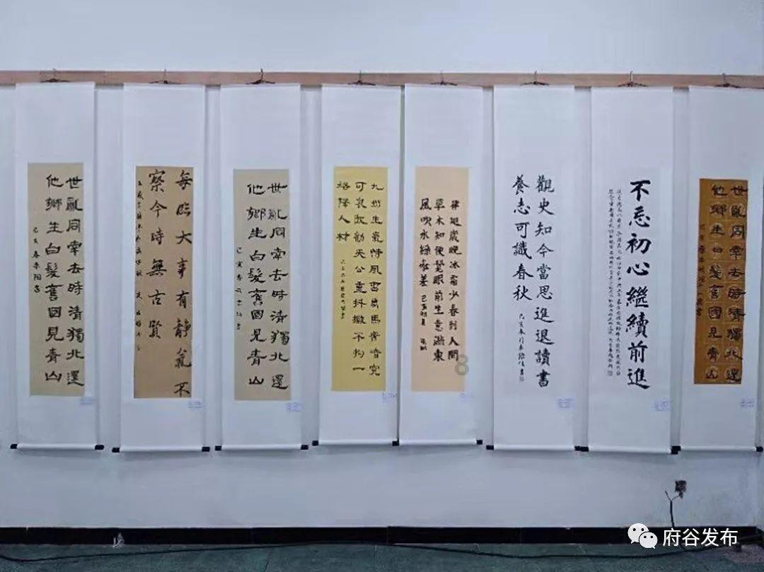 救援瓢虫宝宝