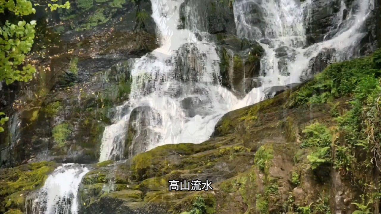 战锤：末世鼠疫2